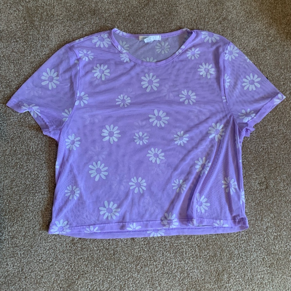 Lavender daisy transparent top
